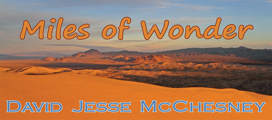Header Graphic